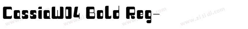 CassiaW04 Bold Reg字体转换